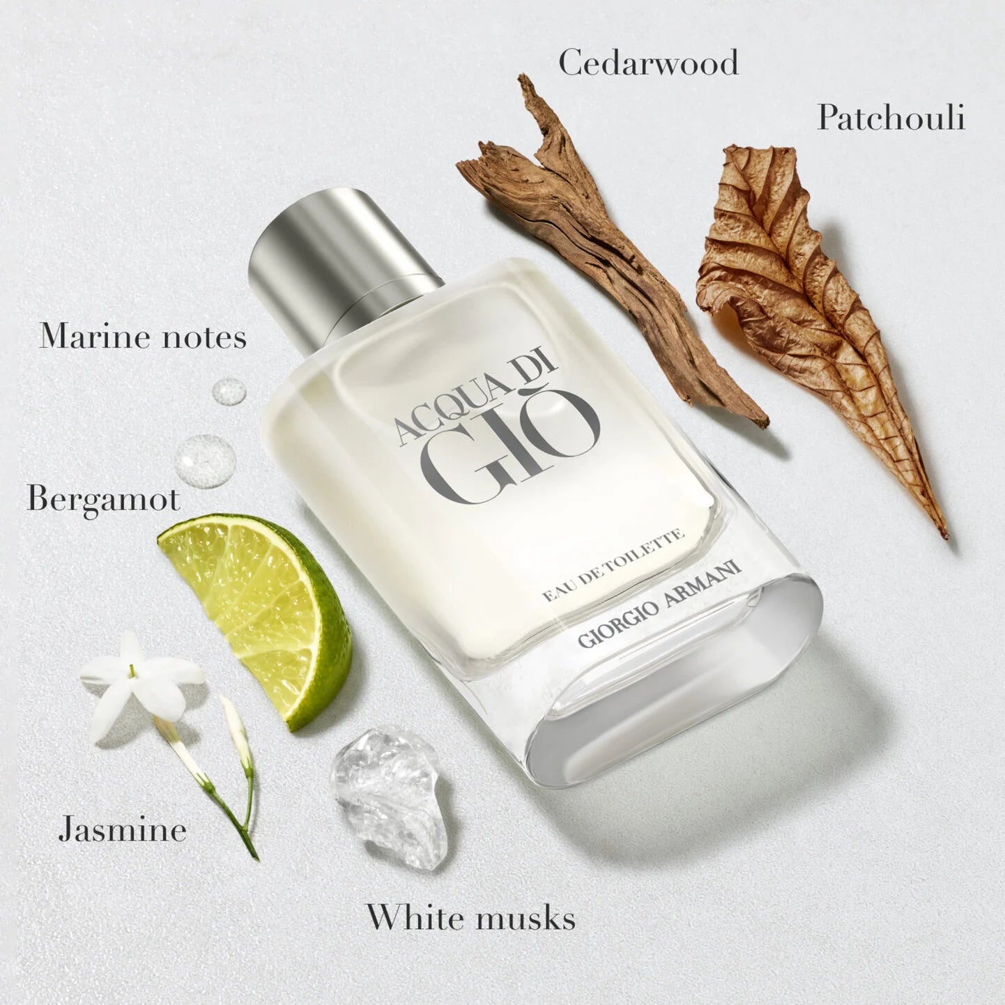 Acqua Di Giò Eau de Toilette(3.4 oz)