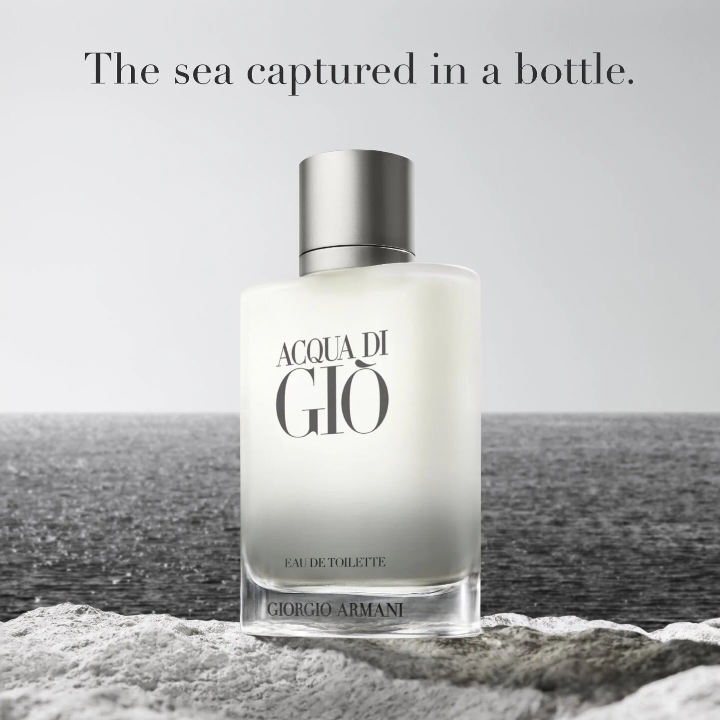 Acqua Di Giò Eau de Toilette(3.4 oz)